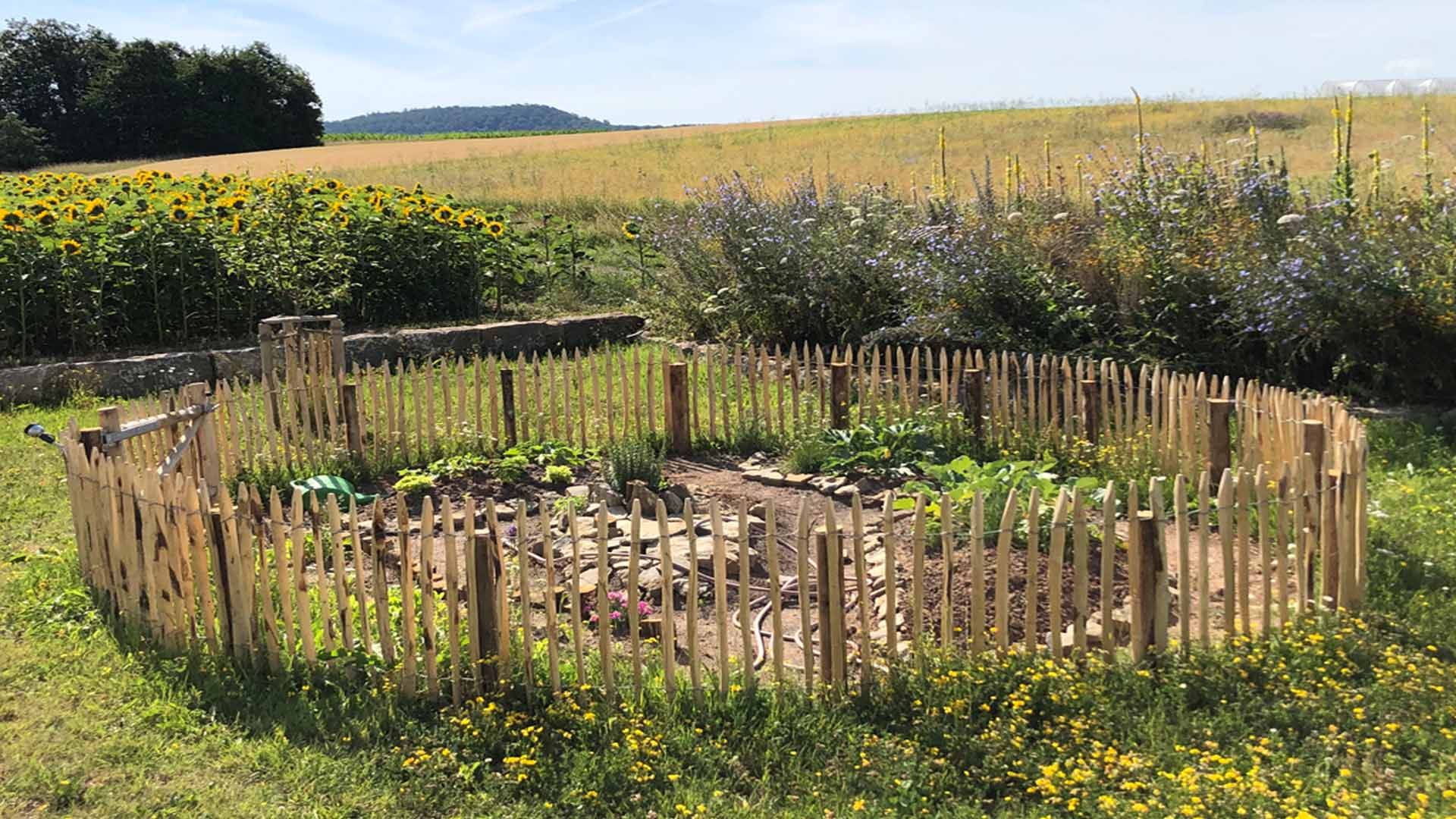 Bauerngarten Gestaltungsideen, Grundstück mit Naturzaun