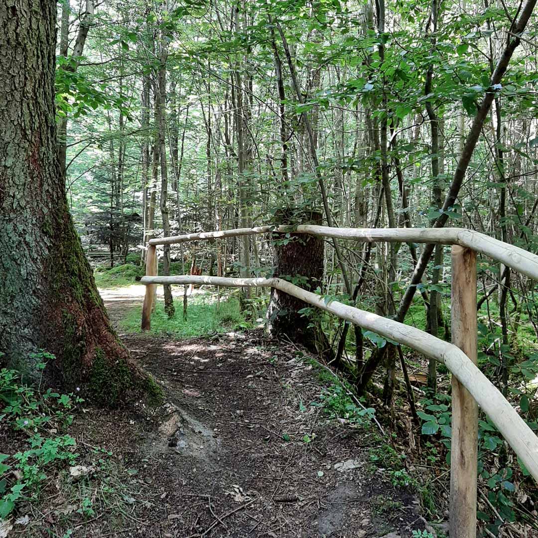 Naturholz Geländer | Begrenzung für sichere Wege
