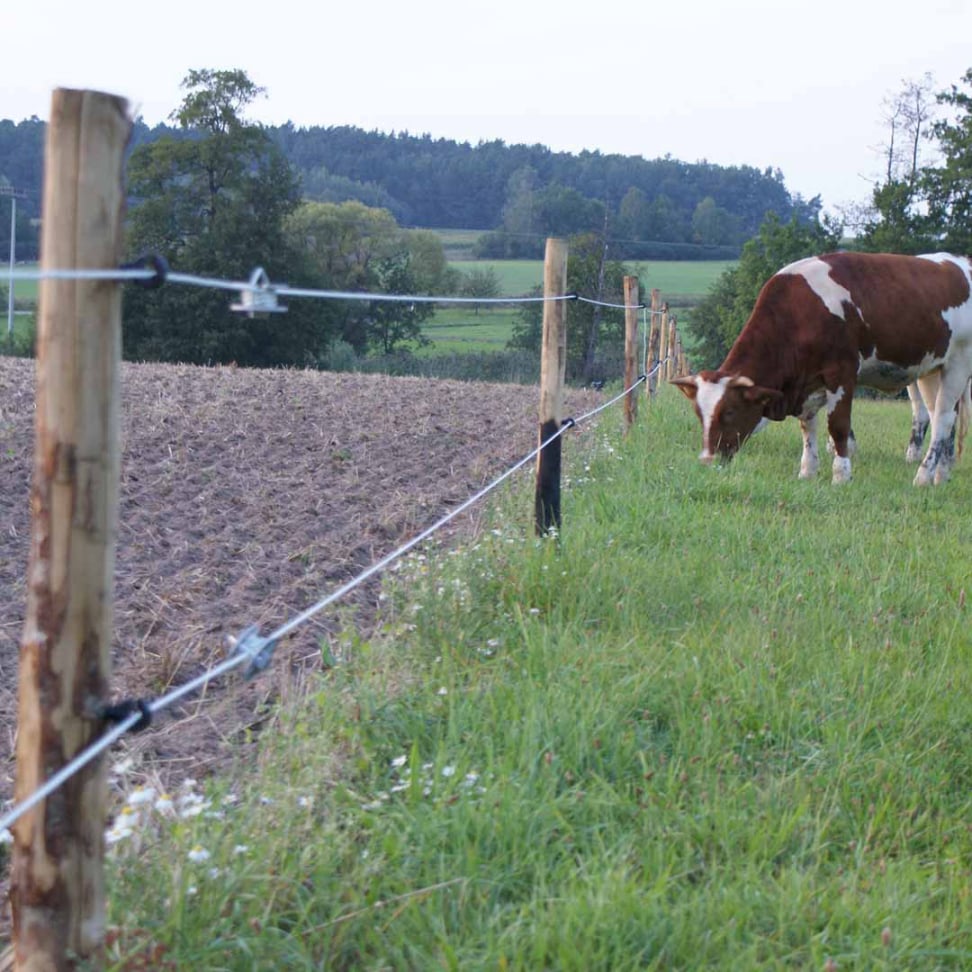 Kastanienholz Pfähle | Kastanienzaun Pfosten