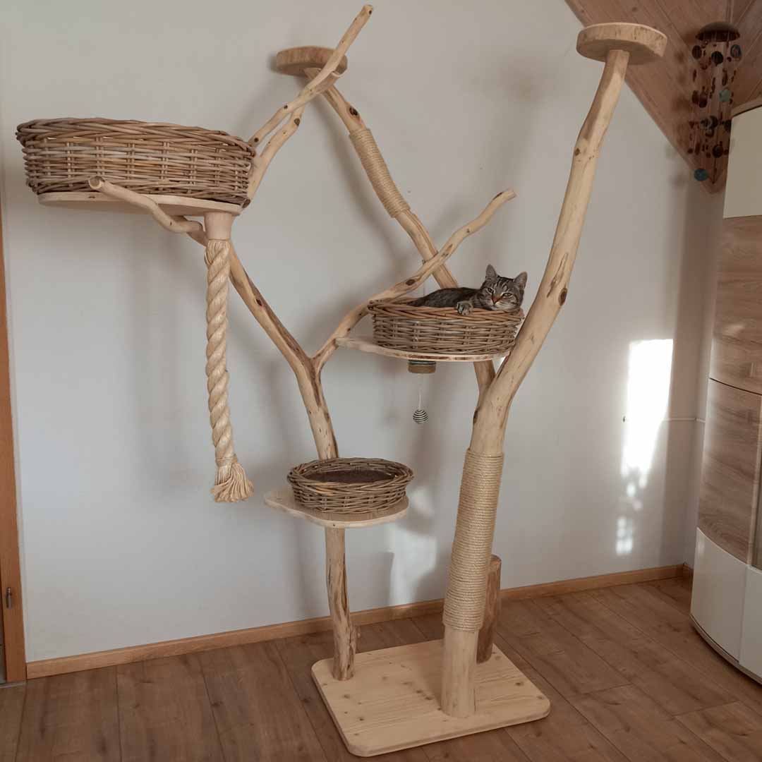 Robuster Katzenkratzbaum aus Robinienholz | Naturholz Katzenbaum | DIY Kratzbaum