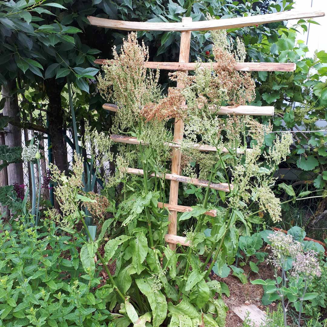 Einzelstaketen Kastanie | Staketenzaun Einzelstaketen