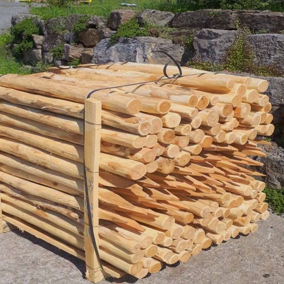 Robinienpfähle: Vielseitig einsetzbares Holz für robuste Zaunpfähle