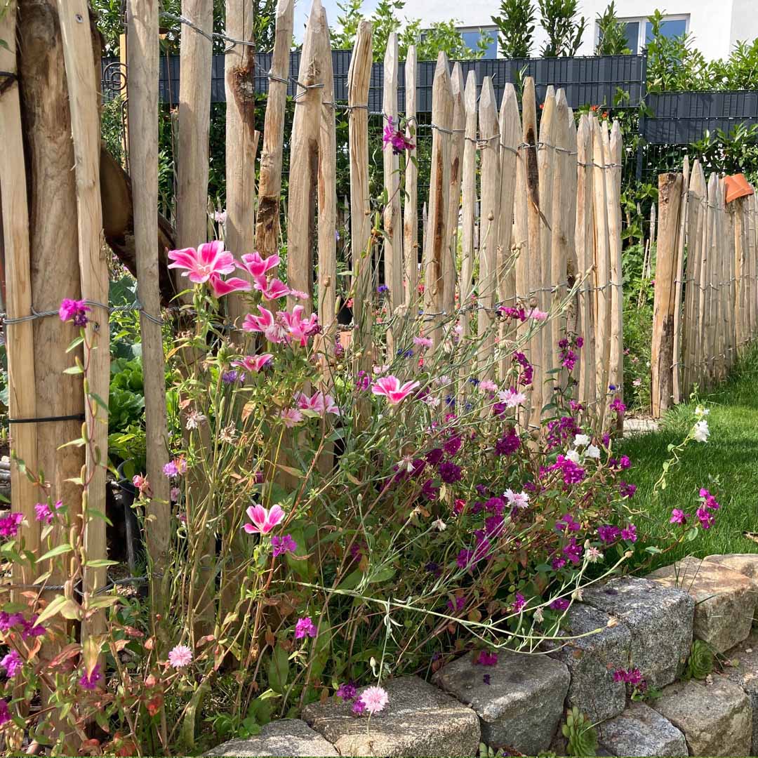 Staketenzaun aus Kastanienholz mit passenden Holztoren