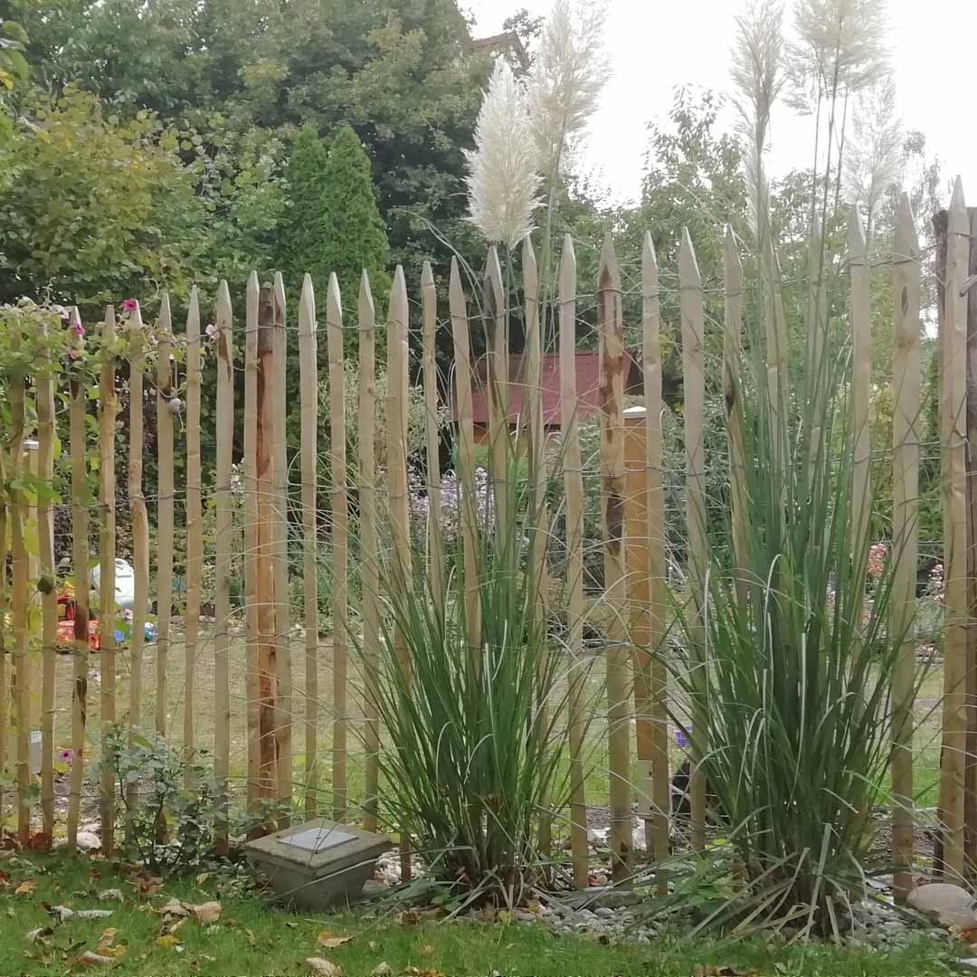 Staketenzaun Kastanie 175 cm hoch | Naturzaun