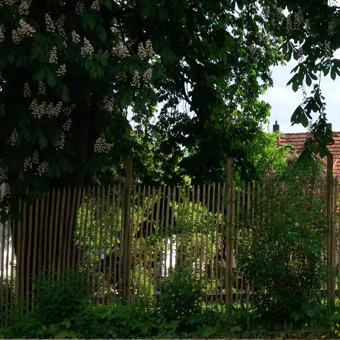 Staketenzaun Kastanie 200 cm hoch | Biergarten