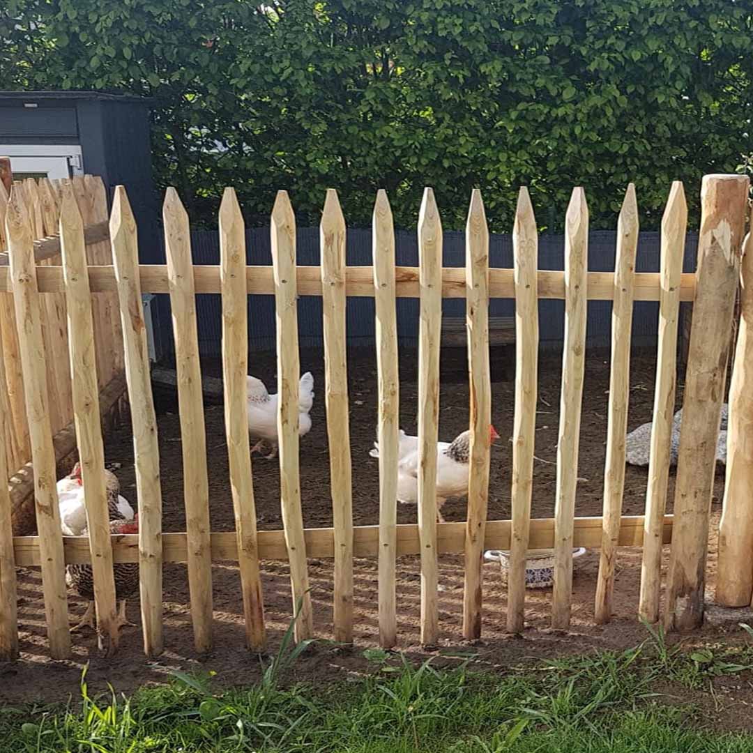 Holzzaun auf Querriegel montiert als Hühnerzaun