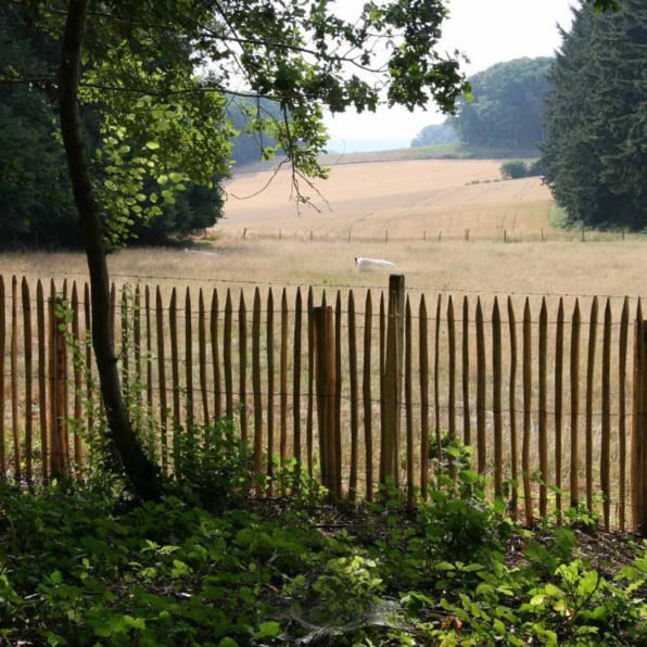 Staketenzaun Kastanie 120 cm hoch | Umzäunung