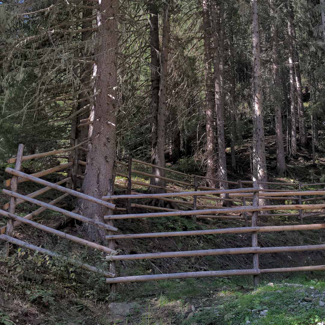 Robuster Koppelzaun aus Holz | Naturholz für Tierhaltung