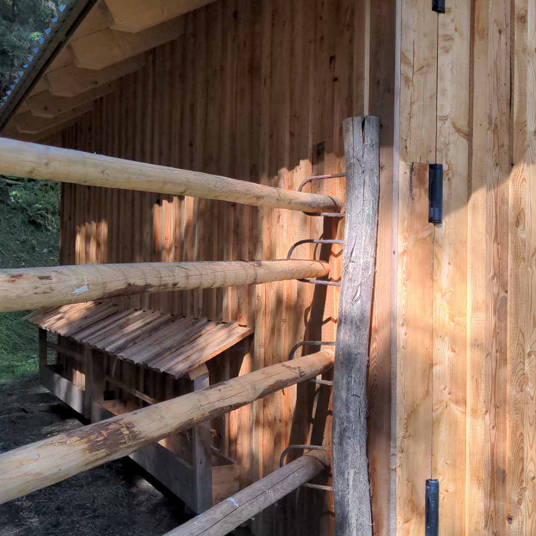Zäune und Tore für Tierhaltung im Wildgehege | Stabile Holzlösungen