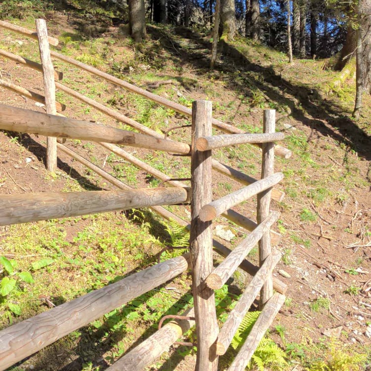 Holzpfähle / Zaunpfähle aus langlebigem Kastanienholz